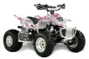 Apex Pro Shark MXR 70 / 90 ATV Graphic Kit - All Years Butterfly Pink