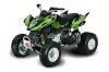 Arctic Cat DVX300 ATV Graphic Kit - All Years Tribal Flames Green