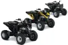Can Am Bombardier DS250 ATV Custom Graphic Kit - 2006-2021