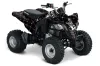 Can Am Bombardier DS250 ATV Graphic Kit - 2006-2021 Silver Star - Reloaded White