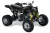 Can Am DS450 / DS450X EFI ATV Graphic Kit - 2008-2016 Reaper Black