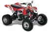 Can Am DS450 / DS450X EFI ATV Graphic Kit - 2008-2016 Tribal Flames White
