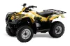 Honda Recon ES Fourtrax ATV Graphic Kit - 2005-2018 Carbon X Yellow