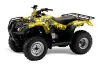 Honda Recon ES Fourtrax ATV Graphic Kit - 2005-2018 Reaper Yellow
