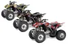 Honda TRX 250EX / 250R / 250X ATV Custom Graphic Kit - 2006-2024