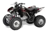 Honda TRX 250EX / 250R / 250X ATV Graphic Kit - 2006-2024 Bone Collector Black