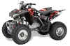 Honda TRX 250EX / 250R / 250X ATV Graphic Kit - 2006-2024 Checkered Skull Silver