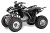 Honda TRX 250EX / 250R / 250X ATV Graphic Kit - 2006-2024 Mad Hatter Black