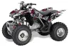 Honda TRX 250EX / 250R / 250X ATV Graphic Kit - 2006-2024 Northstar Pink