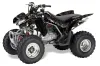 Honda TRX 250EX / 250R / 250X ATV Graphic Kit - 2006-2024 Reaper Black