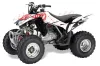 Honda TRX 250EX / 250R / 250X ATV Graphic Kit - 2006-2024 Silver Star - Reloaded White