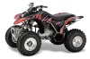 Honda TRX 250EX / 250X ATV Graphic Kit - 2002-2005 Tribal Flames Red