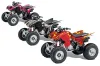 Honda TRX 300EX ATV Custom Graphic Kit - 2007-2013