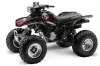 Honda TRX 300EX ATV Graphic Kit - 1993-2006 Bone Collector Black