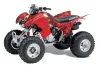 Honda TRX 300EX ATV Graphic Kit - 2007-2013 Bone Collector Red