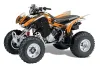 Honda TRX 300EX ATV Graphic Kit - 2007-2013 Carbon X Orange
