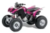 Honda TRX 300EX ATV Graphic Kit - 2007-2013 Carbon X Pink
