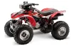 Honda TRX 300EX ATV Graphic Kit - 1993-2006 Carbon X Red