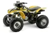 Honda TRX 300EX ATV Graphic Kit - 1993-2006 Carbon X Yellow