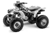 Honda TRX 300EX ATV Graphic Kit - 1993-2006 Reaper White