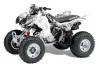 Honda TRX 300EX ATV Graphic Kit - 2007-2013 Reaper White