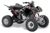 Honda TRX 400 EX ATV Graphic Kit - 2008-2016 Checkered Skull Red