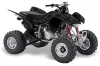 Honda TRX 400 EX ATV Graphic Kit - 2008-2016 Skulls and Hammers Silver