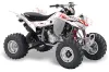 Honda TRX 400 EX ATV Graphic Kit - 2008-2016 Silver Star - Reloaded Red