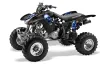 Honda TRX 400EX ATV Graphic Kit - 1999-2007 Checkered Skulls Blue