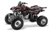 Honda TRX 400EX ATV Graphic Kit - 1999-2007 Silver Star - Silverhaze Red