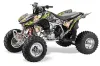 Honda TRX 450R ATV Graphic Kit - 2004-2016 Motorhead Mandy Silver