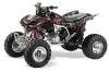Honda TRX 450R ATV Graphic Kit - 2004-2016 Silver Star - Silverhaze Red