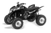 Honda TRX 700 XX ATV Graphic Kit - 2008-2015 Tribal Flames Silver
