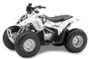 Honda TRX 90 ATV Graphic Kit - 2006-2019 Silver Star - Reloaded Black