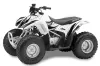 Honda TRX 90 ATV Graphic Kit - 2006-2019 Tribal Flames Black