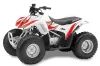 Honda TRX 90 ATV Graphic Kit - 2006-2019 Tribal Flames Red