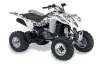 Kawasaki KFX 400 ATV Graphic Kit - 2003-2008 Silver Star - Silver Haze White