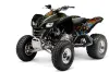 Kawasaki KFX 700 ATV Graphic Kit - 2004-2009 Ed Hardy - Pirates Green