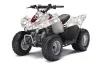 Kawasaki KFX 50 / 90 ATV Graphic Kit - 2007-2022 Bone Collector White