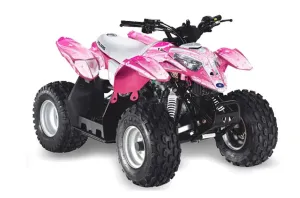 Polaris Predator 50 ATV Graphic Kit - All Years Starlett Pink