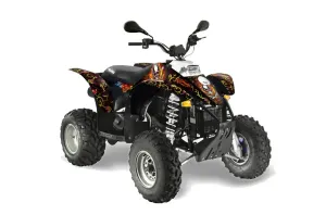 Polaris Trailblazer 350 ATV Graphic Kit - 1985-2009 Ed Hardy - Pirates Red