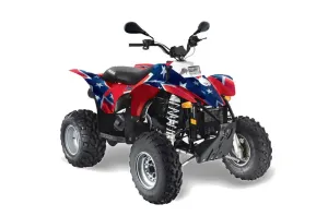 Polaris Trailblazer 350 ATV Graphic Kit - 1985-2009 Rebel