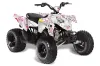 Polaris Outlaw 90 / 110 ATV Graphic Kit - 2002-2025 Butterfly Pink