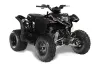 Polaris Phoenix 200 ATV Graphic Kit - 2005-2023 Reaper Black