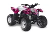 Polaris Predator 50 ATV Graphic Kit - All Years Northstar Pink