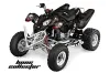 Polaris Predator 500 ATV Graphic Kit - 2002-2011 Bone Collector Black