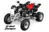 Polaris Predator 500 ATV Graphic Kit - 2002-2011 Tribal Flames Black