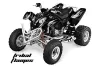 Polaris Predator 500 ATV Graphic Kit - 2002-2011 Tribal Flames Silver