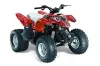 Polaris Predator 90 ATV Graphic Kit - 2002-2011 Bone Collector Red