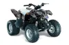 Polaris Predator 90 ATV Graphic Kit - 2002-2011 Camoplate Black